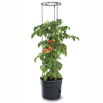 Bilde av Tomatkrukke For Utendørs Dyrking 12 Liter